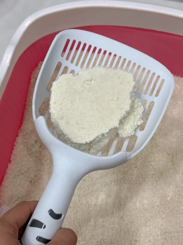 第一次用pidan木薯砂的真实感受