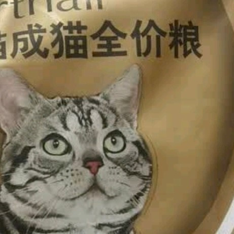 双11养宠必备好物:皇家猫粮美短成猫粮