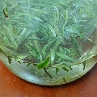 双11随手捡的白毫银针，喝出了这年纪该有的淡