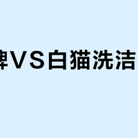 斧头牌VS白猫洗洁精谁更强？1000+用户真实口碑大对决