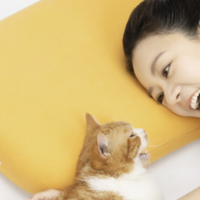 一个人也能看懂的躺岛猫肚皮枕头选购攻略