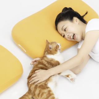 一个人也能看懂的躺岛猫肚皮枕头选购攻略