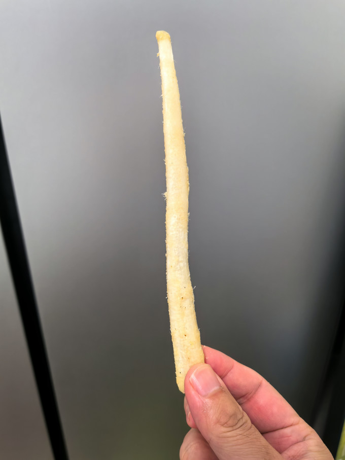 约克先生训犬零食