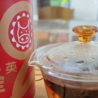 有哪些好喝的茶值得分享？