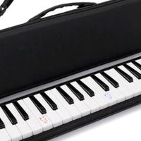 奇美马卡龙黑口风琴：颜值实力双在线的宝藏乐器