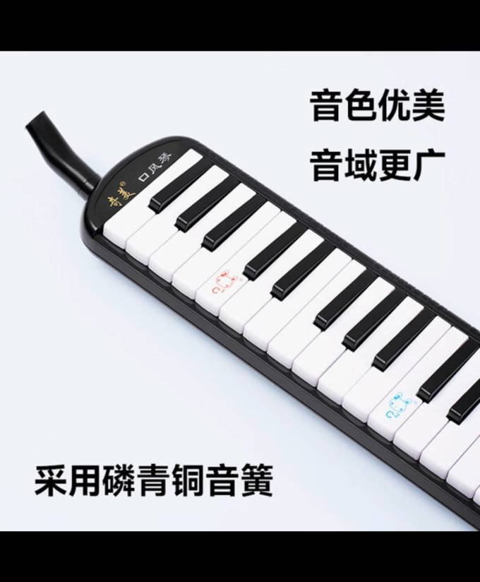 奇美西洋弦乐器