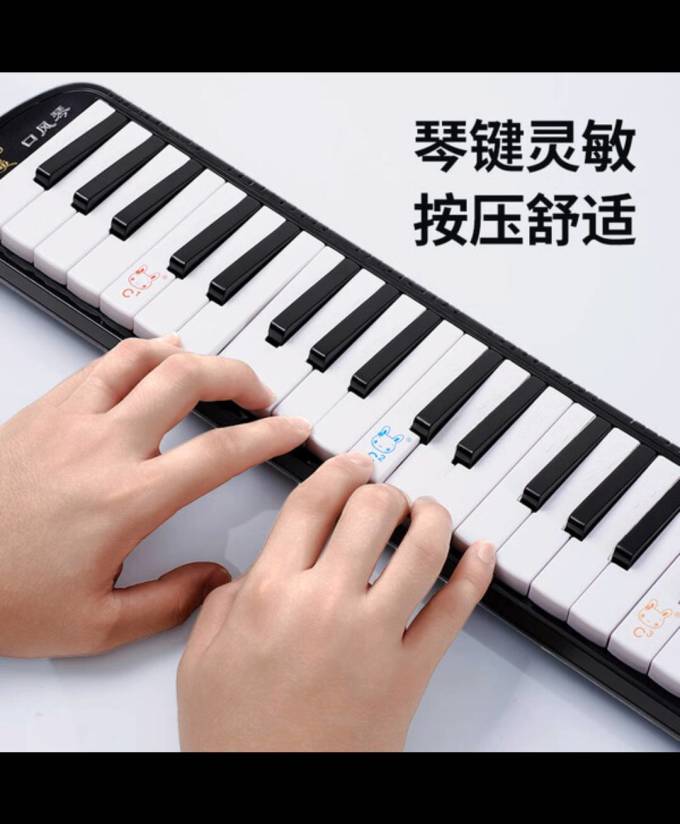 奇美西洋弦乐器