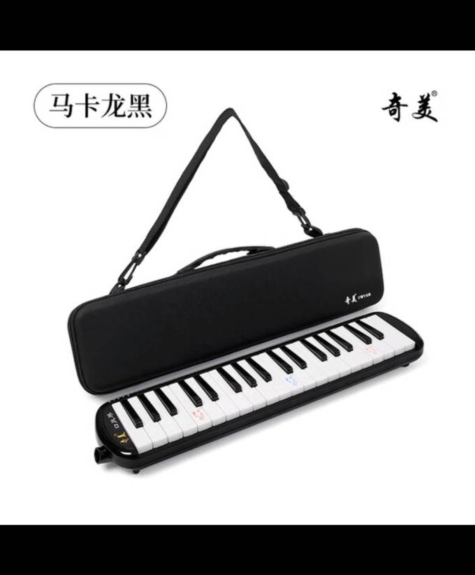 奇美西洋弦乐器