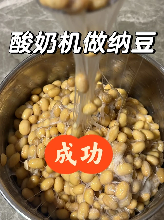 酸奶机做纳豆大成功