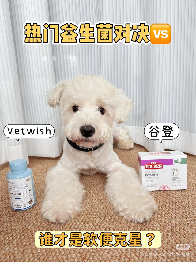 两款热门益生菌测评！玻璃胃小狗救星来啦✨