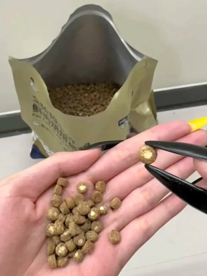 诚实一口猫咪干粮