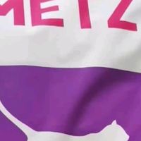 玫斯猫粮：营养鲜食海陆双拼