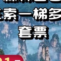 张家界国家森林公园门票+三索一梯多程套票体验心得
