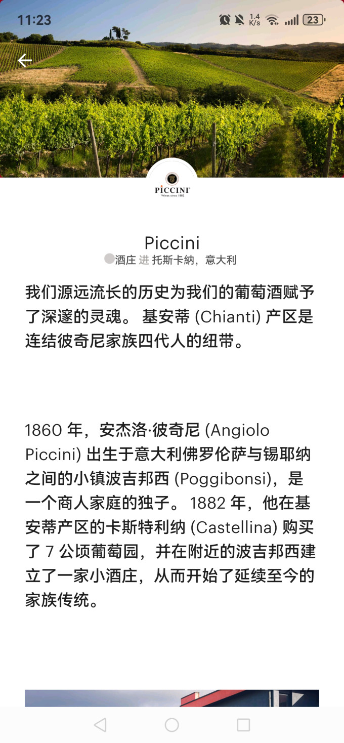 彼奇尼酒庄红葡萄酒
