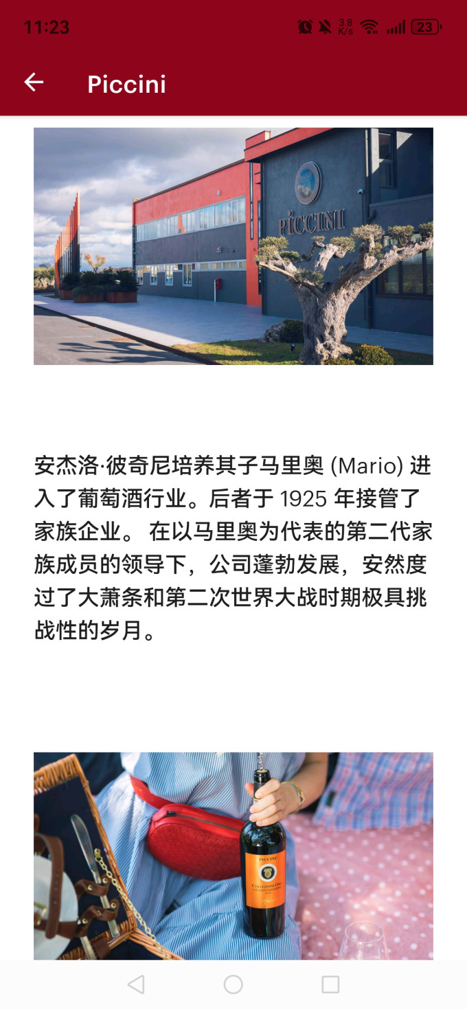 彼奇尼酒庄红葡萄酒