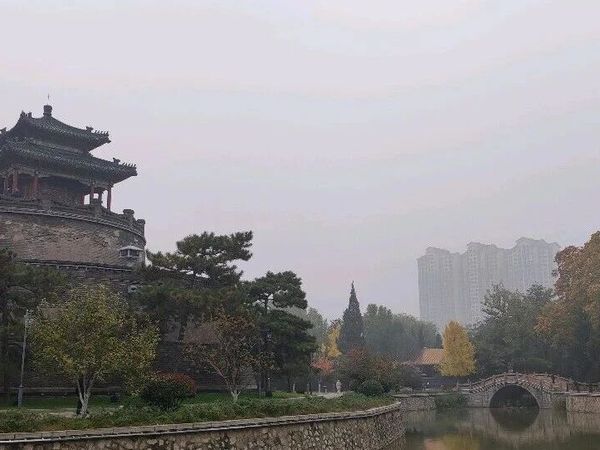 伊利QQ星DHA儿童成长牛奶和QQ星A2β酪蛋白的区别