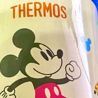 膳魔师迪士尼儿童保温杯，把 “喝水难” 变成 “抢着喝”