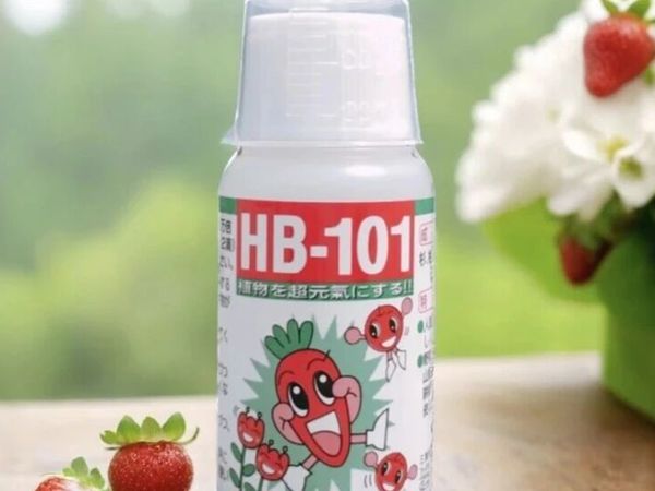 HB-101活力素对蝴蝶兰究竟有多大作用？一文讲清