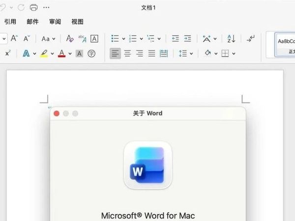 Microsoft 微软Office 2024 v16.103 中文Mac版 word/execl/ppt等