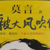 治愈焦虑！《不被大风吹倒》给我前行力量