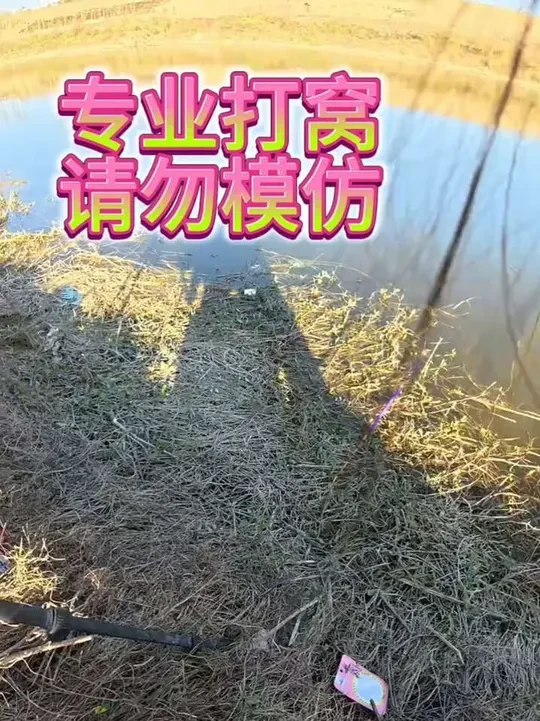 我仿佛看见我太奶在召唤我@巴厘岛西餐厅 #沃鼎王者神剑极轻小综合#沃鼎产品体验官 #钓鱼 #钓鱼人就是这么疯狂#钓鱼人就是这么疯狂