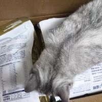 喵梵思白袋子金边猫主粮全价冻干粮