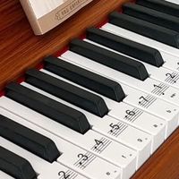 家用练琴刚需款！贝琪B351电钢琴体验笔记