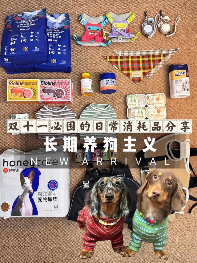 长期养狗主义|双11必囤的日常消耗品分享