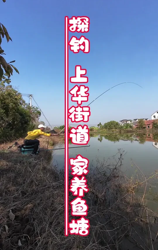 我有锅盖鳊 就不跟你们攀比了
#抖音生活观察计划 #原来钓鱼才是抖音运动顶流 #钓鱼人的快乐 #沃鼎王者神剑极轻小综合 #沃鼎产品体验官