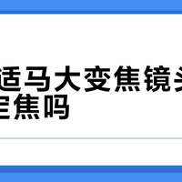 腾龙/适马大变焦镜头能替代定焦吗？500+用户真实观点大PK