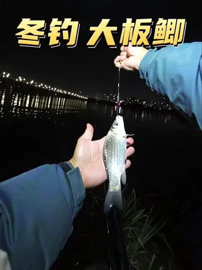 入冬的第一场野钓鲫鱼#真实生活分享计划 #野钓鲫鱼 #创威凌天二代大小综合 #化氏钢弹2号 #化氏246秋冬钓鲫