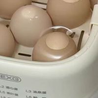 小型多功能来袭！全自动煮蛋器超实用👏