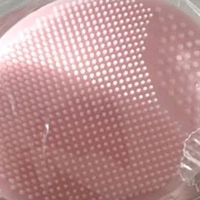 马博士婴儿硅胶洗头刷3只装