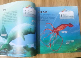 这本海洋图典，带娃解锁深海奥秘