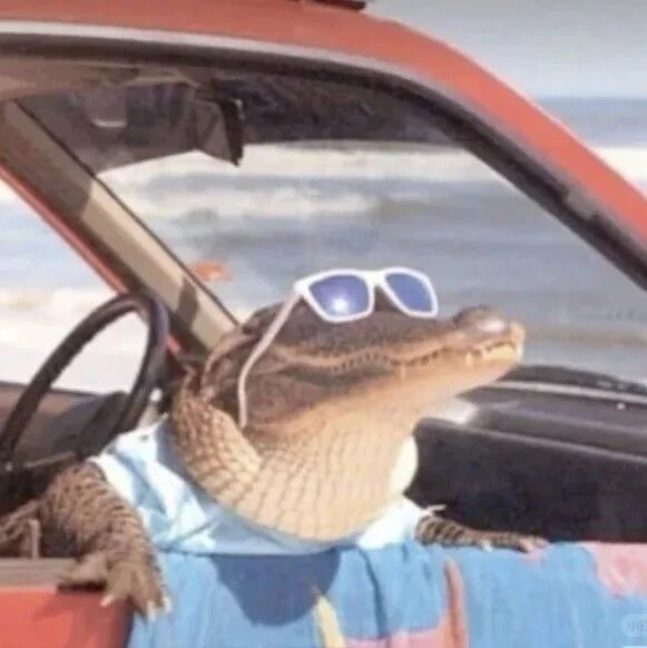 没有滤镜，亲妈来了都认不出的程度...