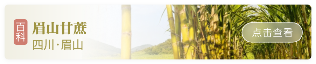 “偷”甘蔗刷屏全网，但你可能连哪里的甘蔗最甜都不知道！