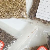 全国包邮！黄花波斯菊种子，60/斤超划算