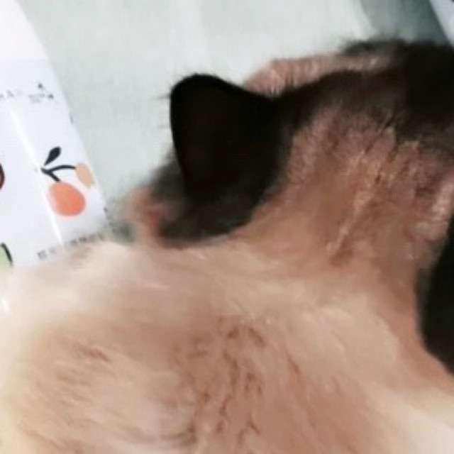 未卡X水神联名猫砂盆除臭剂