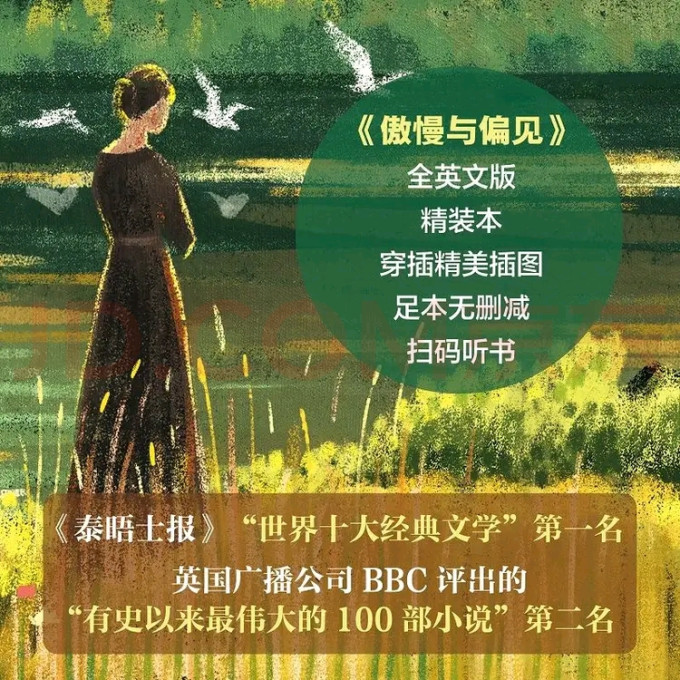 北京时代华文书局小说
