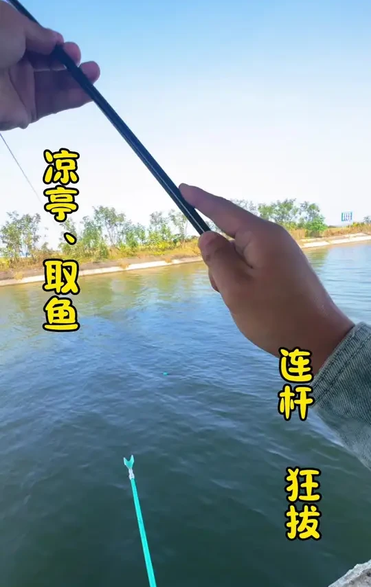 #钓鱼 小凉亭钓鲤鱼后续来了,看看这鱼情真的太暴躁啦 #沃鼎王者神剑三代 #老坛甜薯玉米 #原来钓鱼才是抖音运动顶流