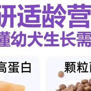 森贝狗粮40斤装成犬专用粮小型犬泰迪金毛中大型柯基 毛孩子爱吃
