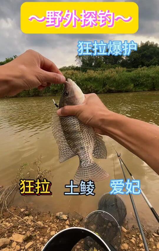 #钓鱼人的快乐
