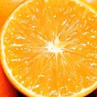 赣南脐橙：甜嫩爆汁的黄金果，橙香四溢的味蕾盛宴。