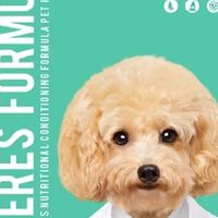 凯锐思狗粮：小型犬通用全价粮