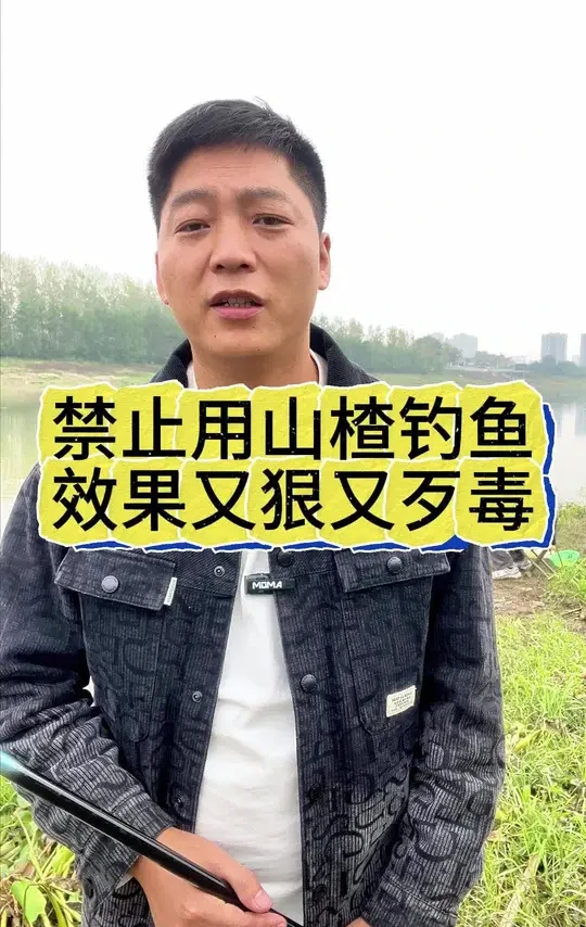 钓鱼界钓鲫鱼又来狠活了#户外钓鱼 #垂钓 #传统钓鲫鱼 #钓鱼技巧 #钓大鱼