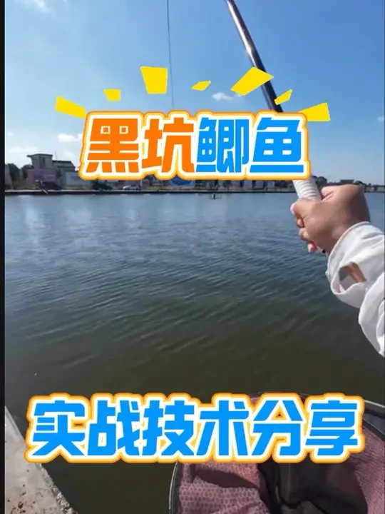 鲢鳙季节马上结束，出来找找钓鲫鱼的感觉，小幸运继续安排#民间艺人芦苇漂 #LB芦苇漂性价比天花板 #鱼栖林极轻小综合 #小综合钓起大鱼获 #黑坑鲫鱼