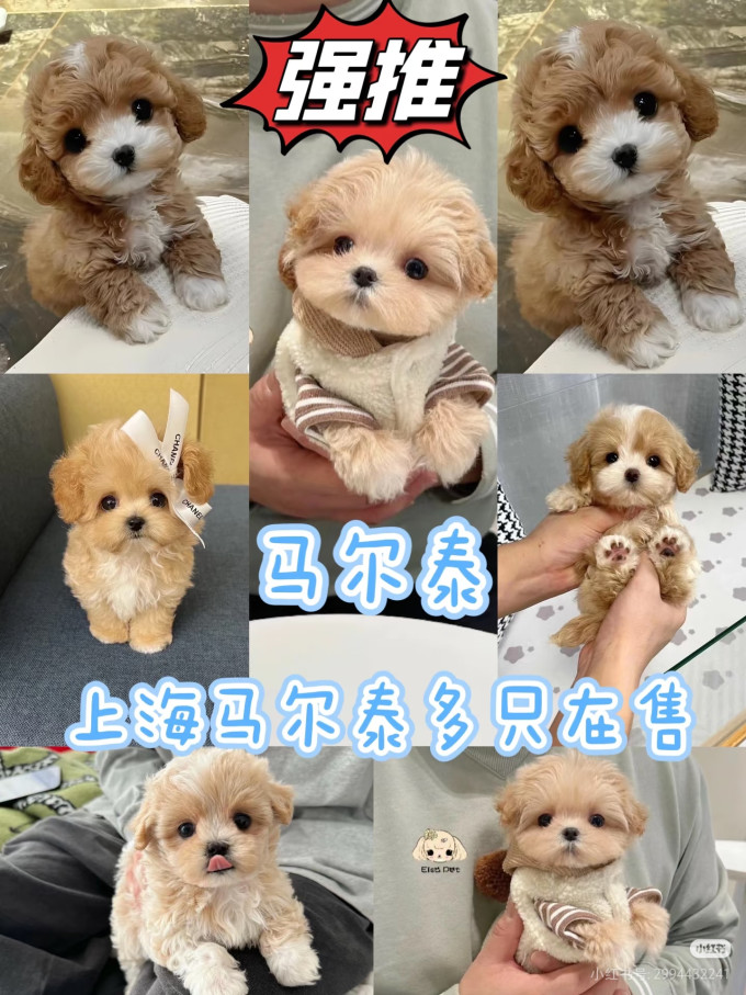 利菲收纳保鲜