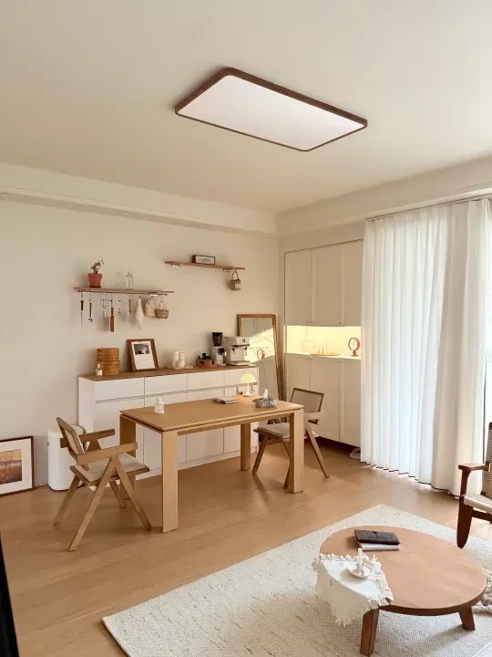住进理想中的家🏠一盏吸顶灯get通透感