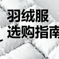 鸭绒暴涨后羽绒服选购指南：5款实测不踩坑，百元到千元都有平替