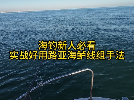 #海钓船钓 #路亚鲈鱼 实战好用路亚鲈鱼线组手法详细分享